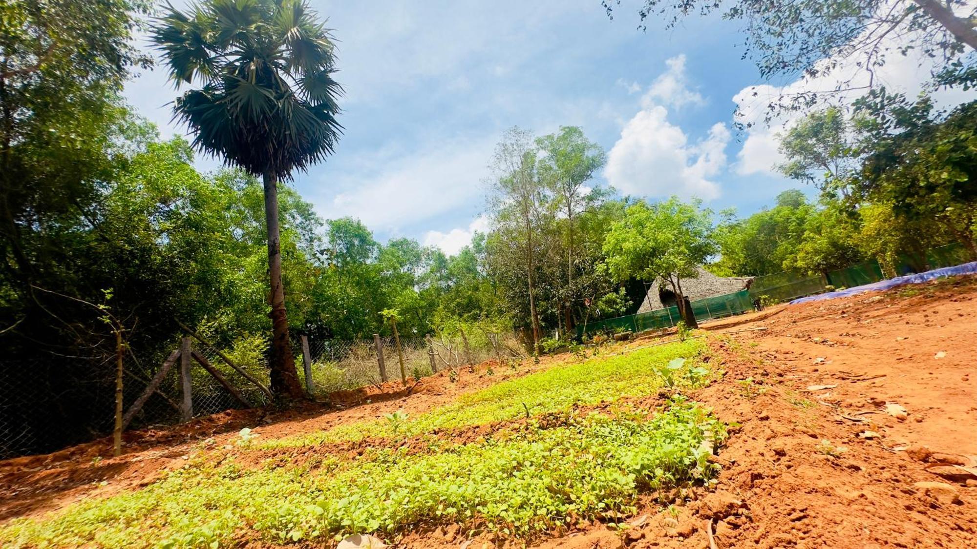 אורוויל Lotus Garden Guest House מראה חיצוני תמונה